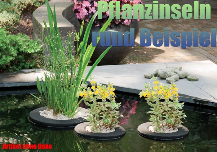 schwimmende-pflanzinsel-rund-garten-koi-teich-pflanzen-pflanzkorb-beispiel-schwimminsel-treibend