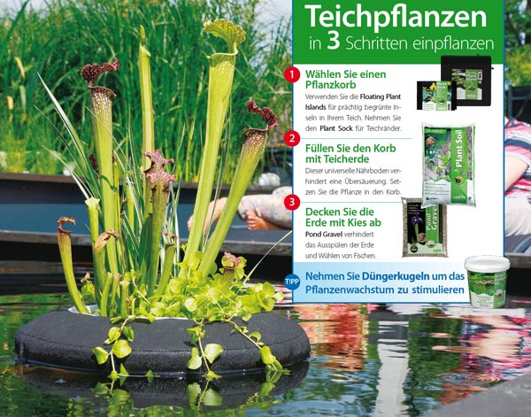 schwimmende-pflanzinsel-teich-velda-rund-eckig-teichpflanzen-einpflanzen-anleitung