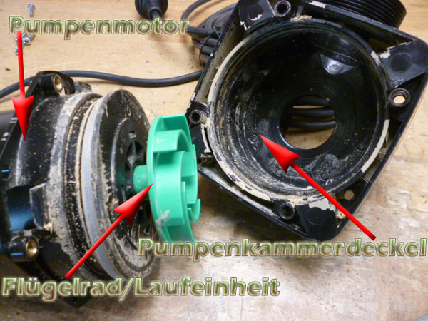 pumpenmotor-laufeinheit-deckel-entkalken-zerlegen-5