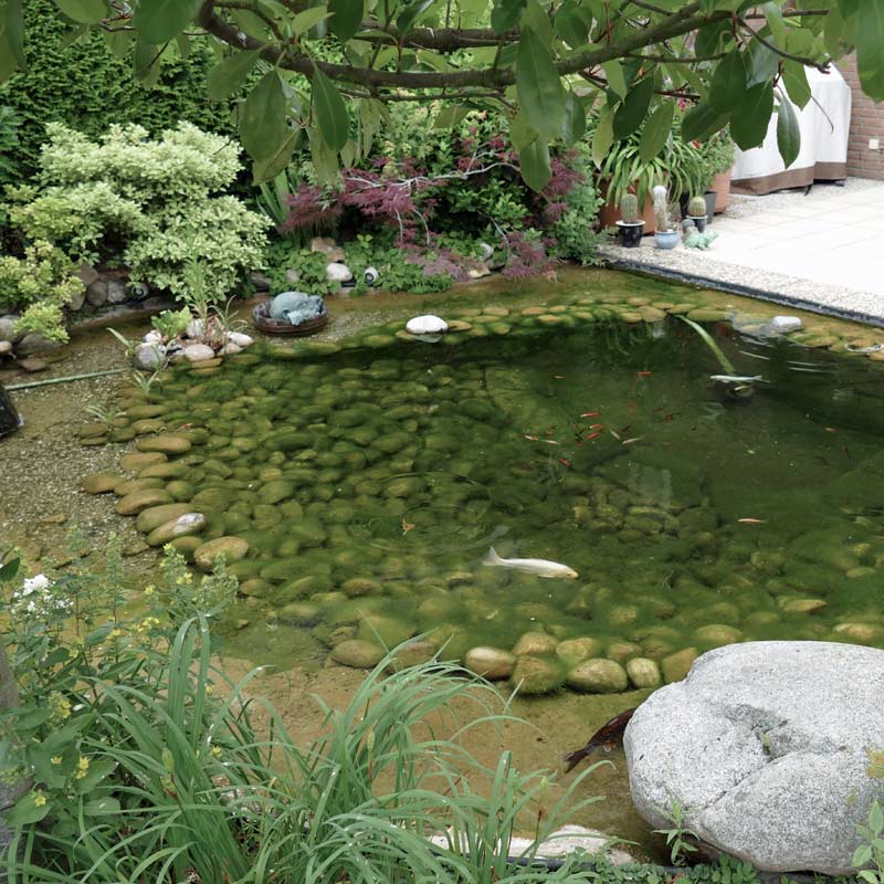 Kundenerfahrungen mit Filtersystem an 10000 l Gartenteich von teich