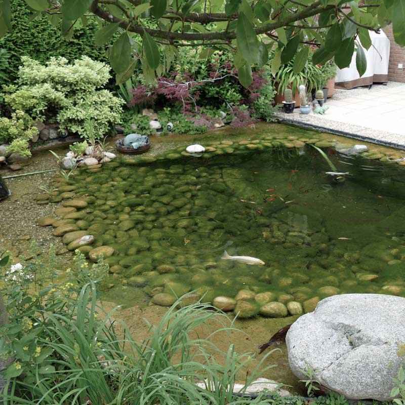 Kundenerfahrungen mit Filtersystem an 10000 l Gartenteich von teich