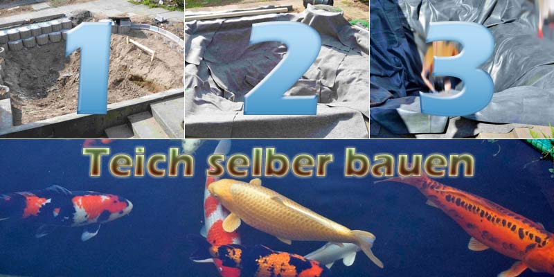 teich-selber-bauen