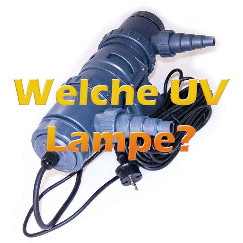 Welche UV Lampe bei welcher Teichgrösse? Teichfilter