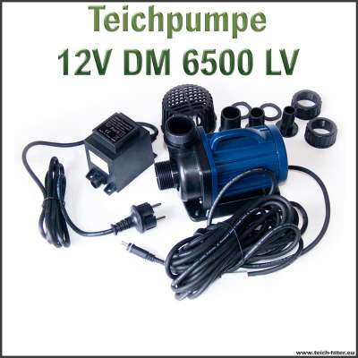 Teichpumpe 12V DM 6500 LV für Teichfilter bis 50000 Liter im Schwimmteich als Schwimmteichpumpe