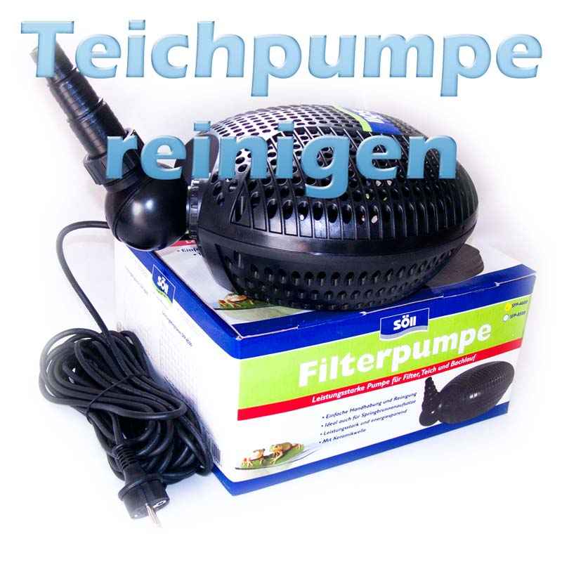 Teichpumpen wie und wann richtig reinigen und entkalken? Teichfilter