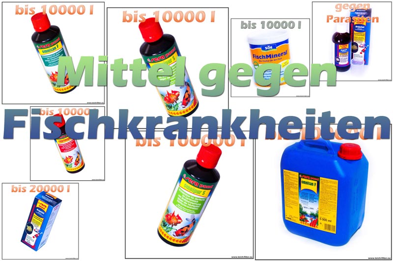 mittel-gegen-fischkrankheiten-behandlung