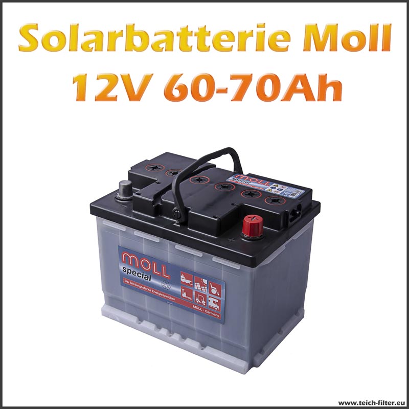 Solar Batterie 60-70Ah | für Inselanlagen Moll Teichfilter 12V