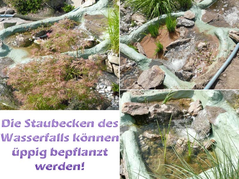 wasserfall-bilder-mit-teichpflanzen