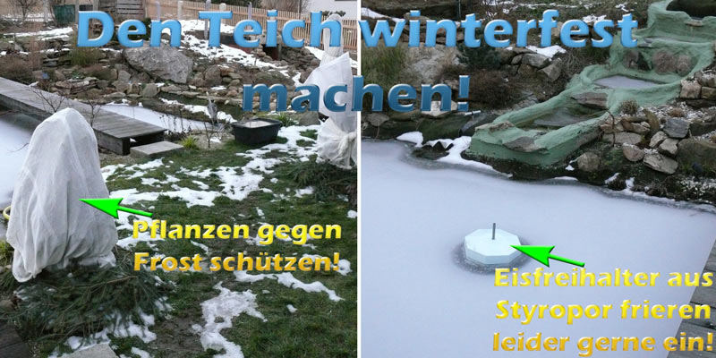 winter-am-teich-eisfreihalter-pflanzen-frostschutz