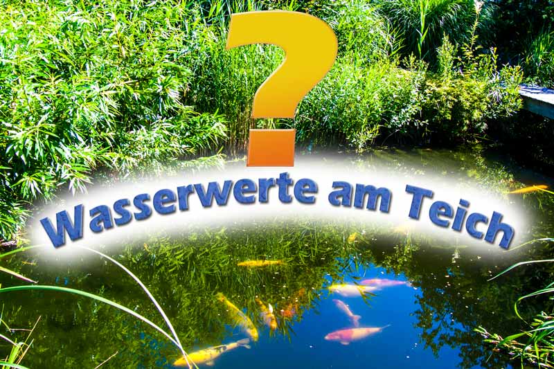 wasserwerte-anleitung-messen-teich