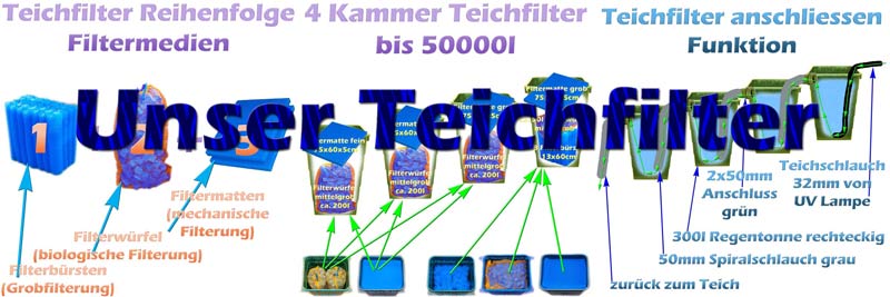 warum-teichfilter-fuer-klares-wasser