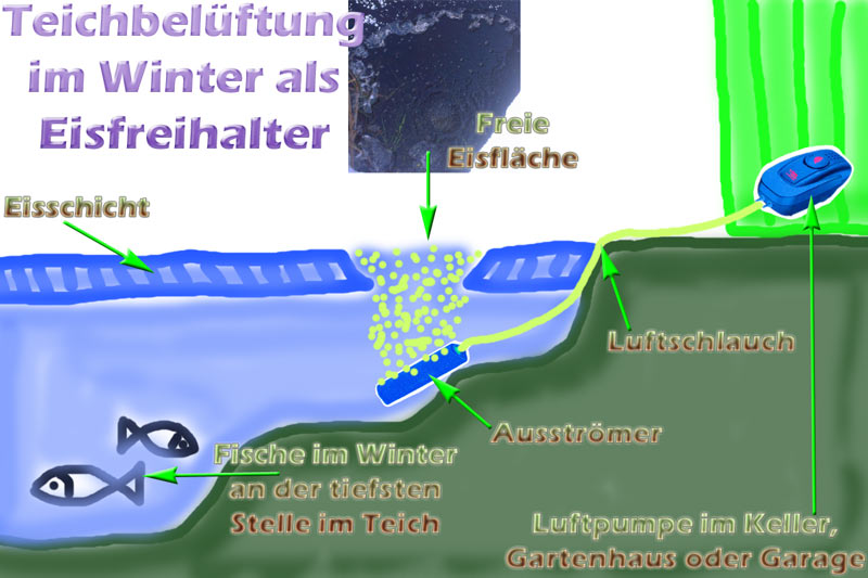 Teichbelüftung für Sommer und Winter selber bauen (Bauanleitung)