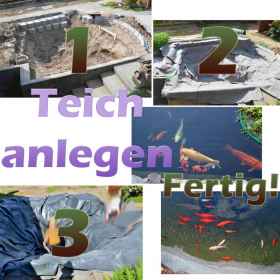 Teichfilter selber bauen mit Bauanleitung Teichfilter