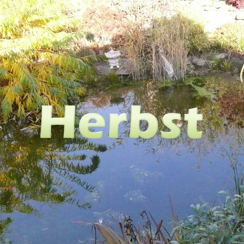 Teich im Herbst reinigen Teichfilter