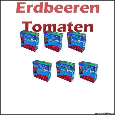 6 Pflanzampeln für Tomaten und Erdbeeren