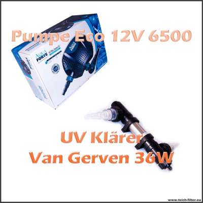 Technikset für Schwimmteich mit Eco 12V Pumpe O 6500 und 36W UV Klärer Van Gerven