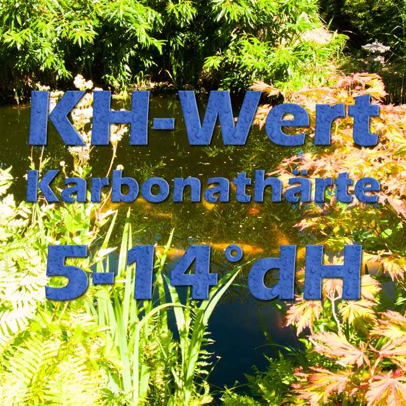 Der KHWert als Karbonathärte im Teich Teichfilter