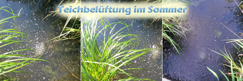 teichbelueftung-im-sommer