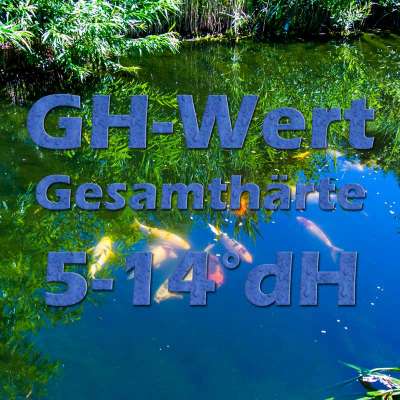 Der GHWert als Gesamthärte im Teichwasser Teichfilter