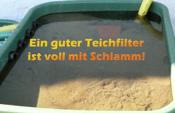 teichfilter-wann-ausschalten