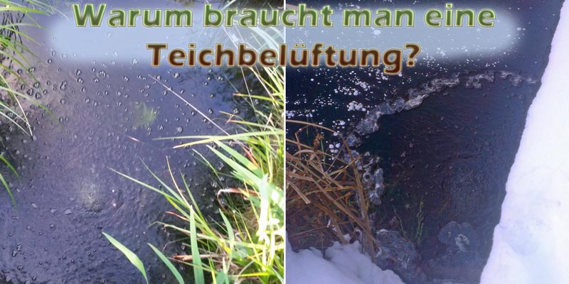 warum-braucht-man-teichbelueftung