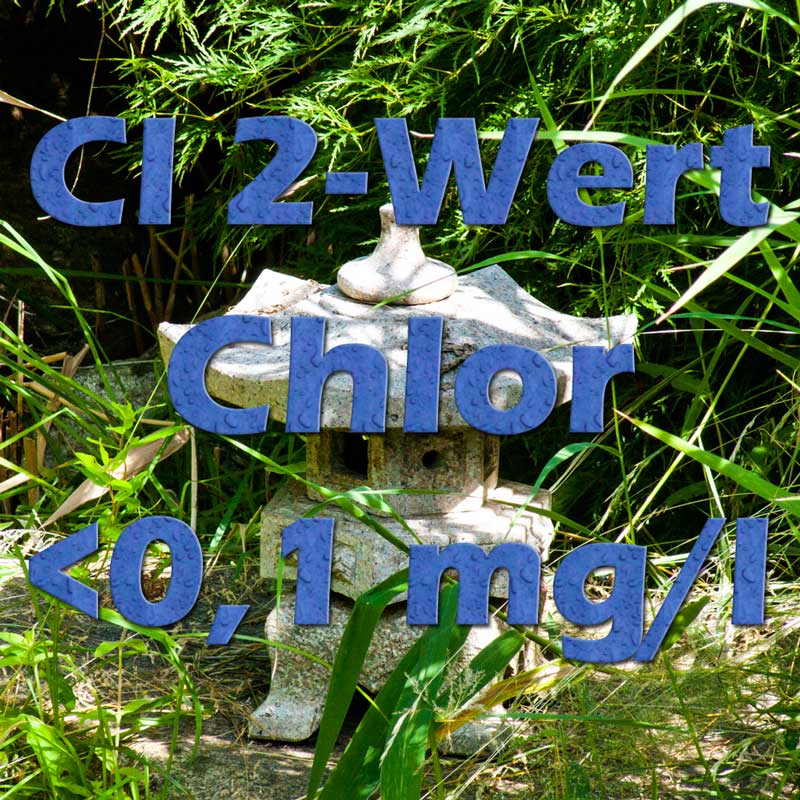 Die Grenzwerte zu Chlor Cl2 im Teich und Badepool Teichfilter
