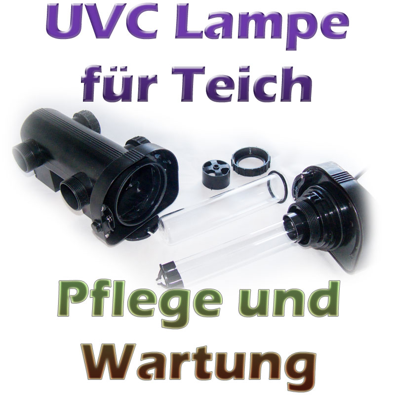 UVC Lampe am Teich Pflege und Wartung Teichfilter