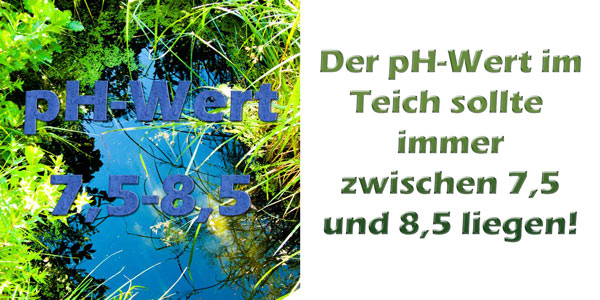 ph-wert-teich-grenzwerte