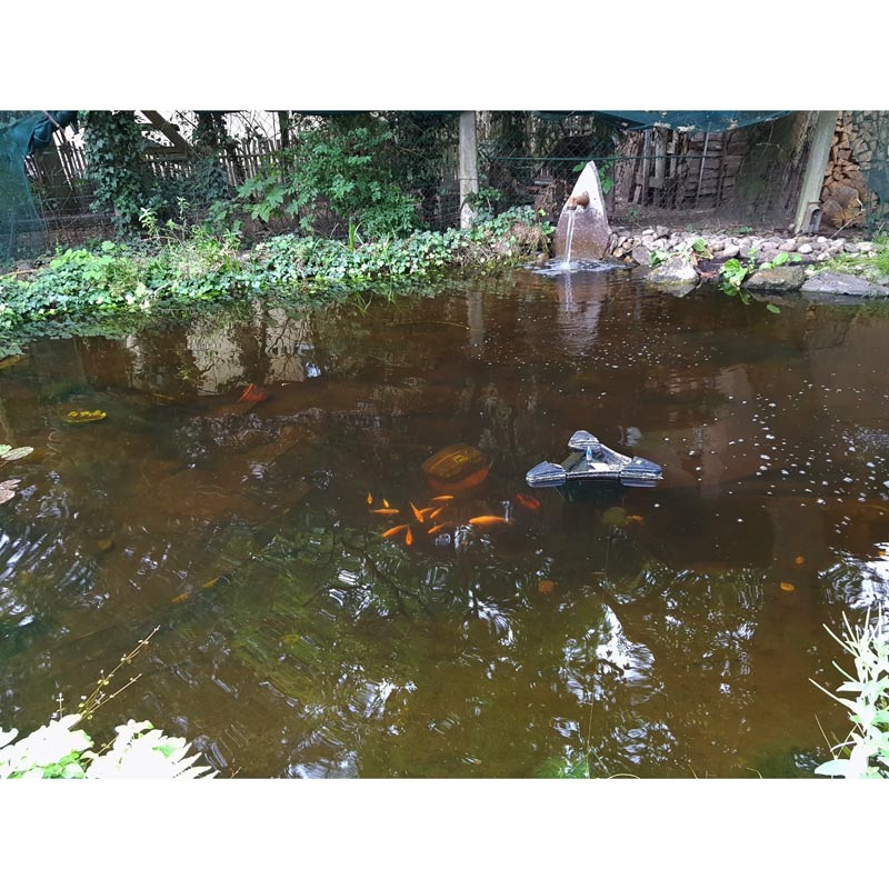 Erfahrungen mit Koifilter am 10000l Koiteich aus 2 Filterkammern im