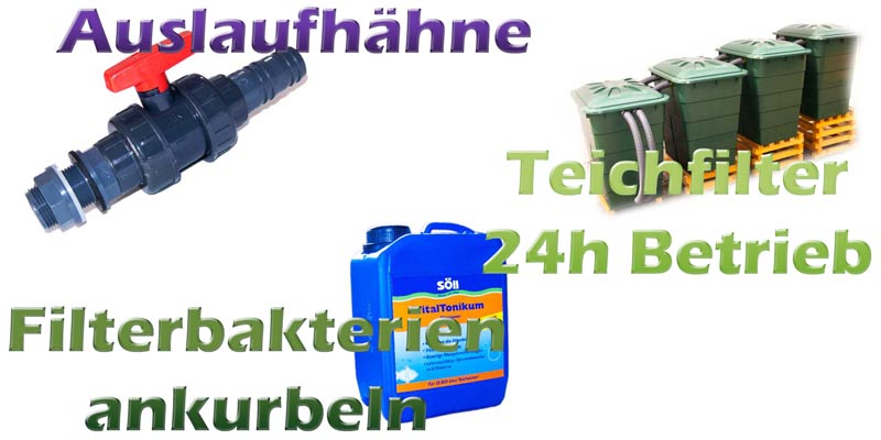 wann-teichfilter-reinigen-ausschalten