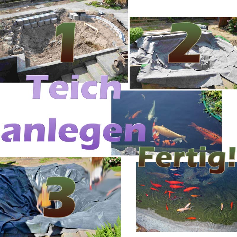 Teich anlegen und selber bauen mit Bauanleitung (Teichbau) Teichfilter