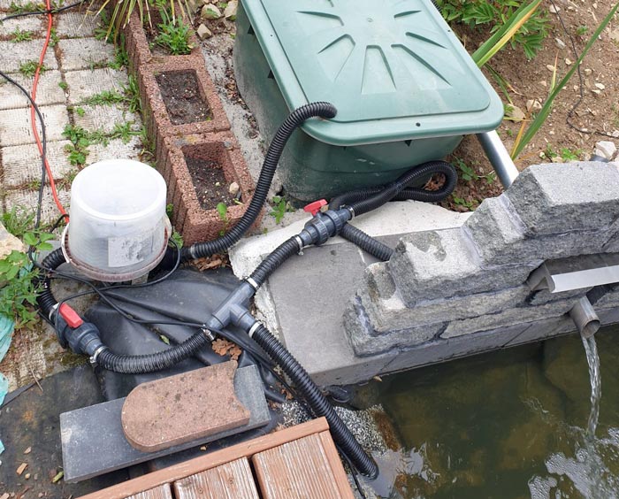 solar-teichfilter-erfahrung-2000-liter-teich-solaranlage-kammmolch-9