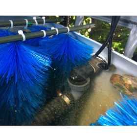 IBC Teichfilter Erfahrung am 25000 Liter Koiteich mit 2 Containern