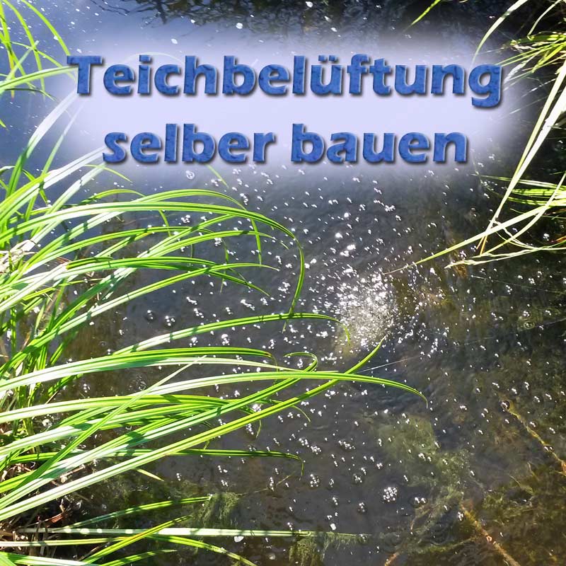 Teichbelüftung für Sommer und Winter selber bauen ...