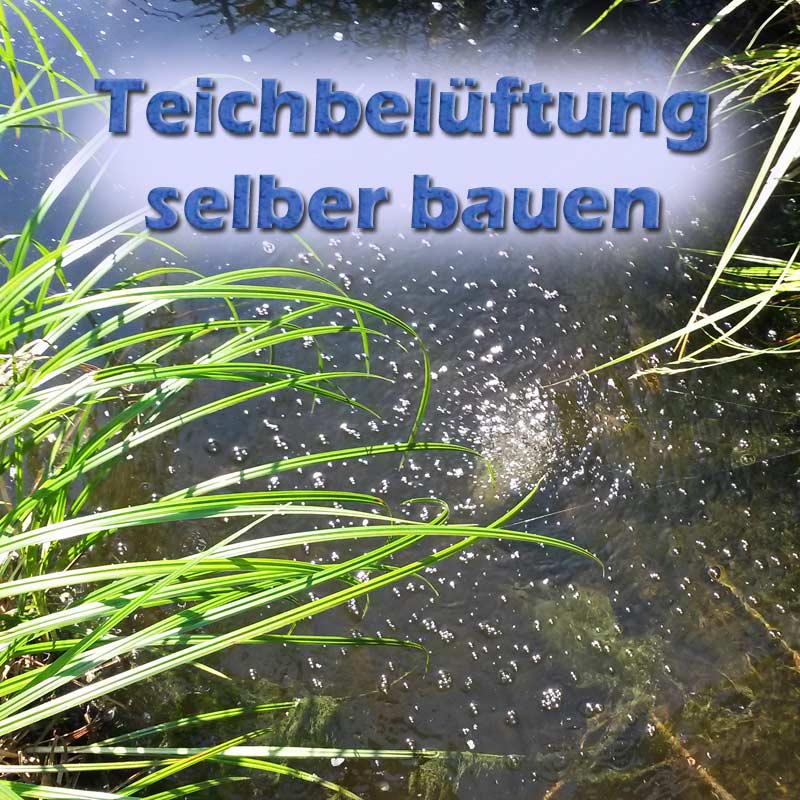 Teichbelüftung für Sommer und Winter selber bauen (Bauanleitung)