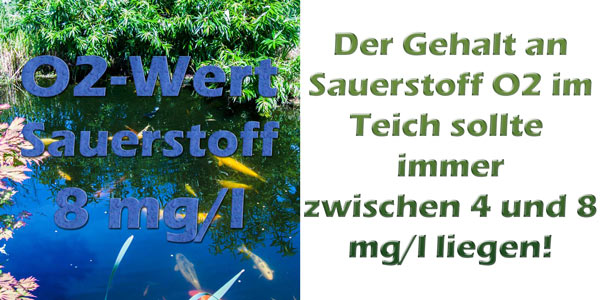 sauerstoff-im-teich-o2-grenzwerte