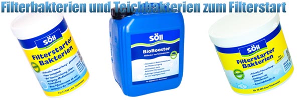 filterbakterien-teichbakterien-zubehoer-teichfilter-filterstarter
