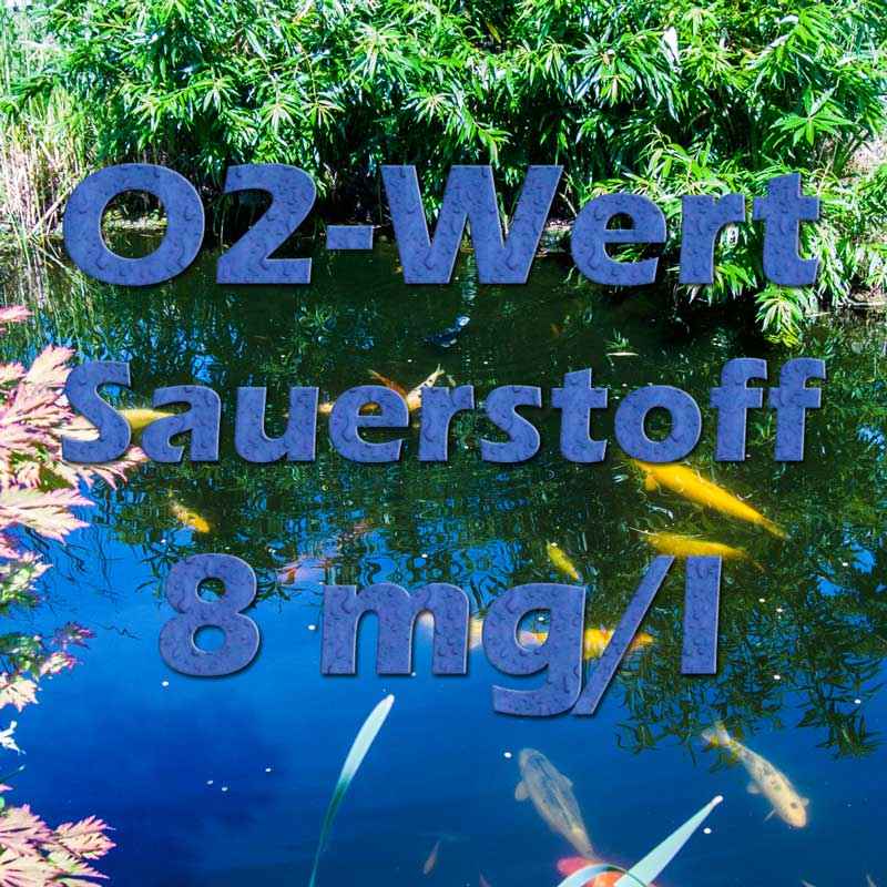 O2 Sauerstoff im Teich Teichfilter