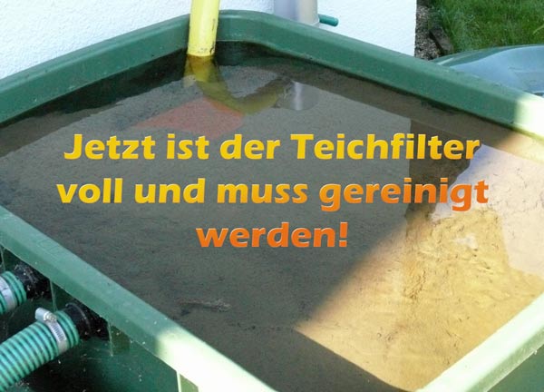 teichfilter-zur-reinigung-ausschalten