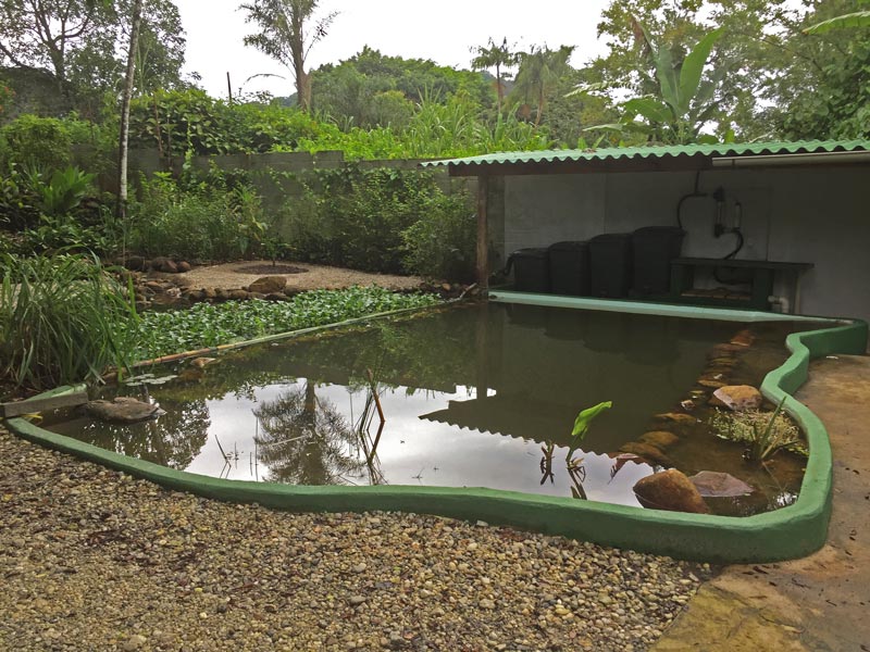 schwimmteich-bio-brasilien-klares-wasser-filter-40000-liter-teich-wasser-ohne-algen-4-regentonnen-1