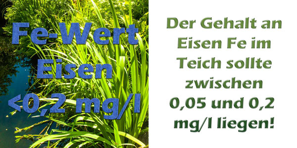 eisen-fe-im-teich-grenzwerte