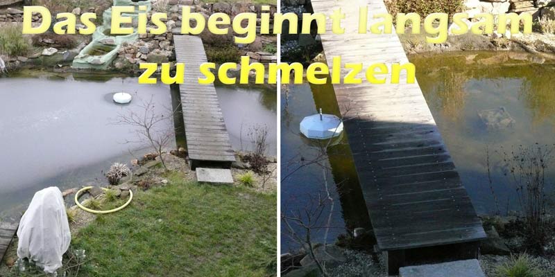 eis-am-teich-im-fruehling-schmilzt