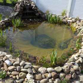 Bau und Erfahrungsbericht Gartenteich Terrassenteich 3000 l Teichfilter