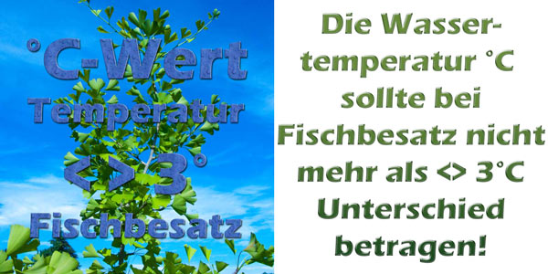 temperatur-grad-c-grenzwerte-fischbesatz-bakterien