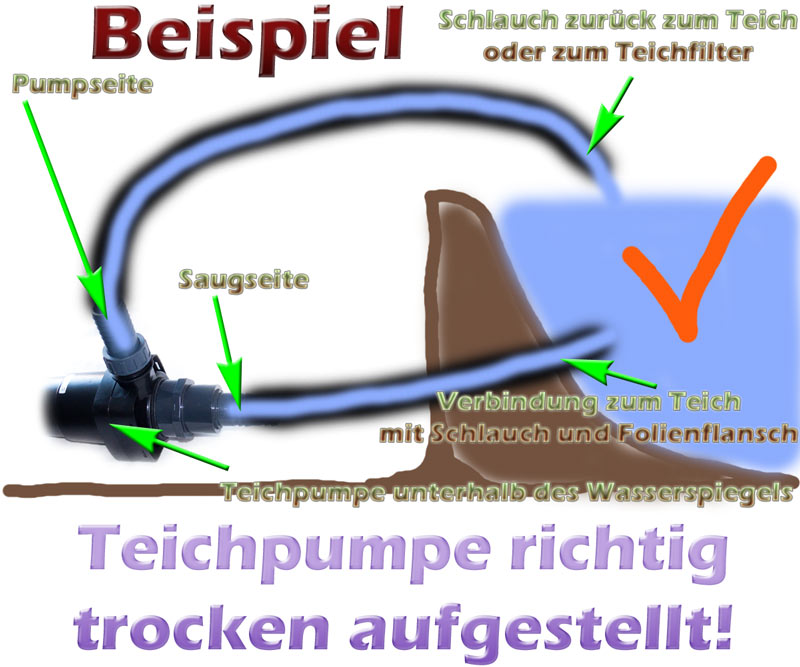 teichpumpe-trocken-aufstellung-beispiel-1