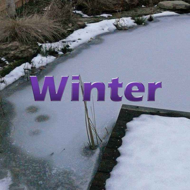 Teich im Winter winterfest machen Teichfilter