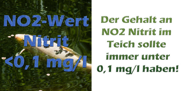 nitrit-no2-im-teich-grenzwerte