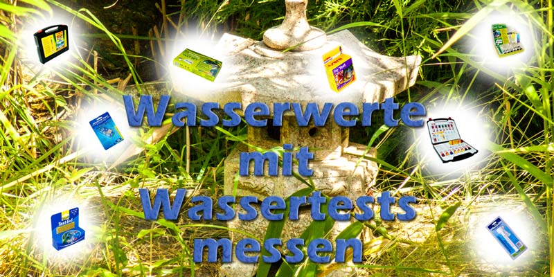 wasserwerte-mit-wassertests-am-teich-messen