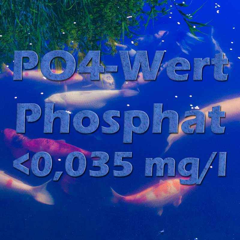 Phosphat PO4 im Teichwasser Teichfilter