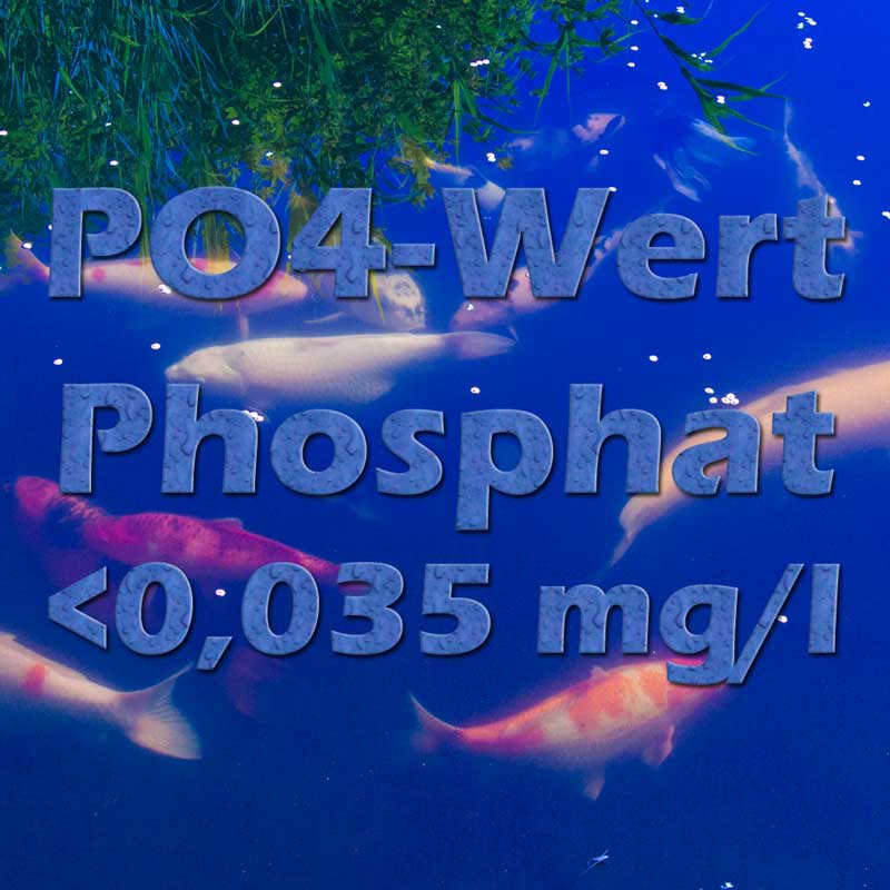 Phosphat PO4 im Teichwasser Teichfilter